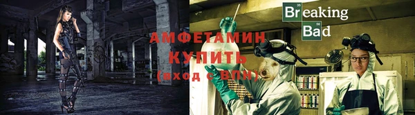 сатива Касимов