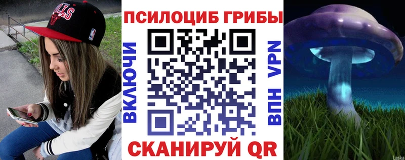 где купить наркоту  Ардатов  Псилоцибиновые грибы Psilocybe 